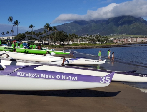 Kū`oko`a Manu O Ka`iwi
